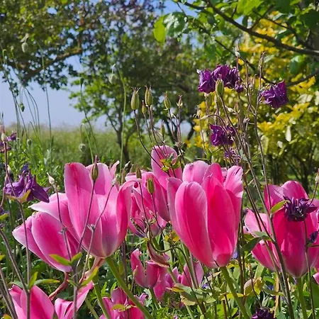 Vakantiehuis Zuhause Am Deich Dornum