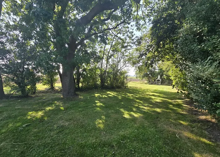 Zuhause Am Deich Feriehus