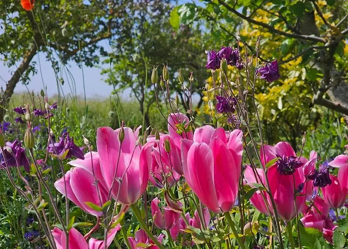 Feriehus Zuhause Am Deich Dornum