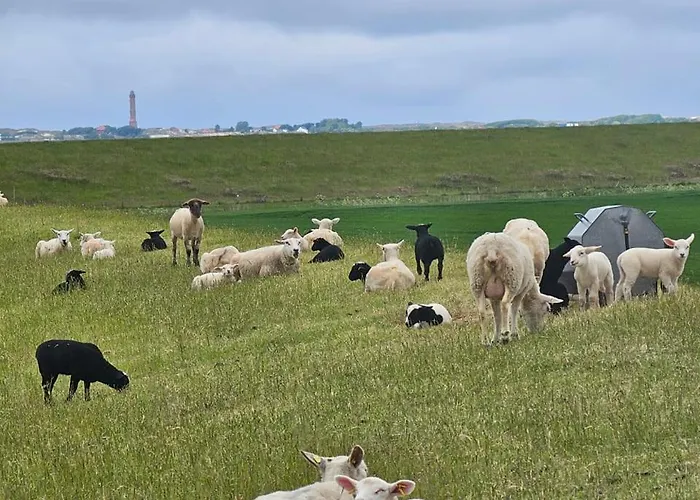 Zuhause Am Deich Feriehus *
